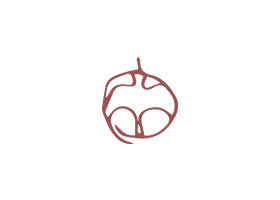 Logo réalisé pour Albane Deschamp