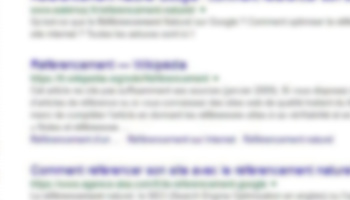 Les résultats Google