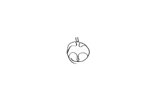 Proposition retenue de logo pour Albane Deschamp