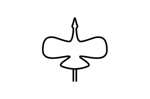 Proposition de logo pour Albane Deschamp